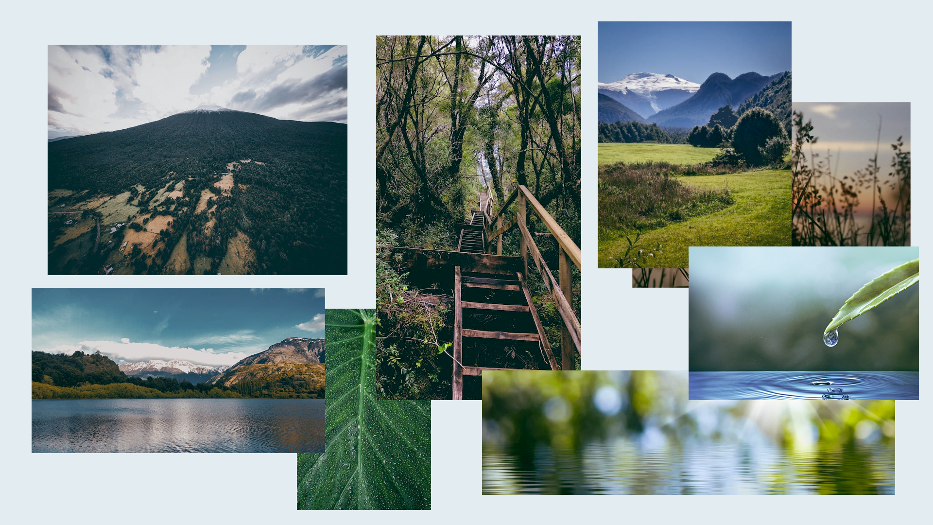 Collage.png