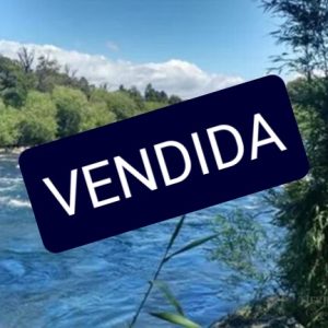 Terreno04-01-768x432.jpeg
