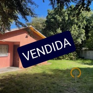 Terreno09-01.jpeg