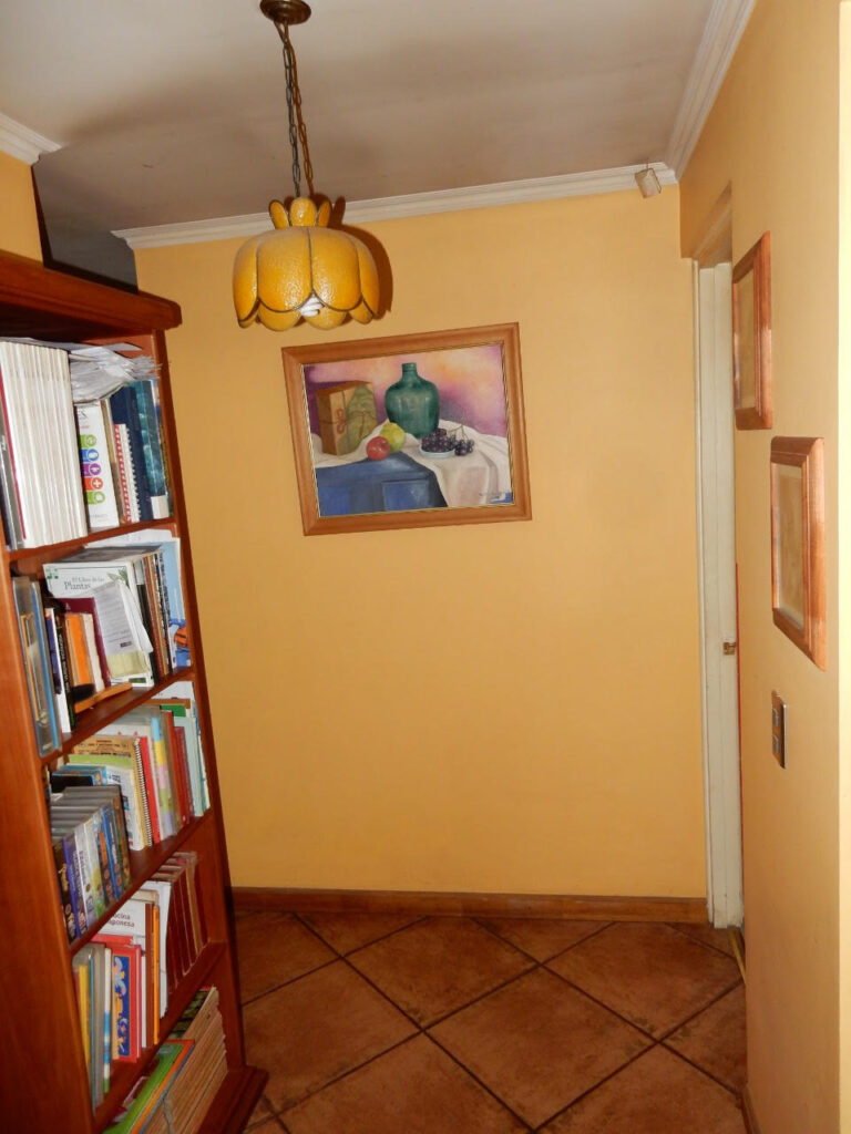 Terreno13-12