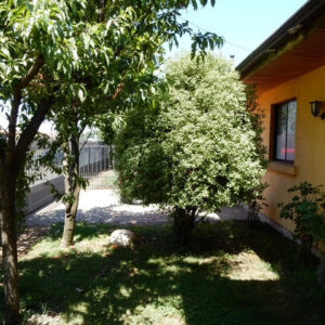 Terreno13-21 PRINCIPAL